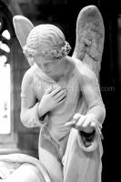 /_PHOTOS/20180729-Rostherne_Church_Tatton_Cheshire/Rostherne Church Tatton Cheshire 20180729-131422-Edit.jpg